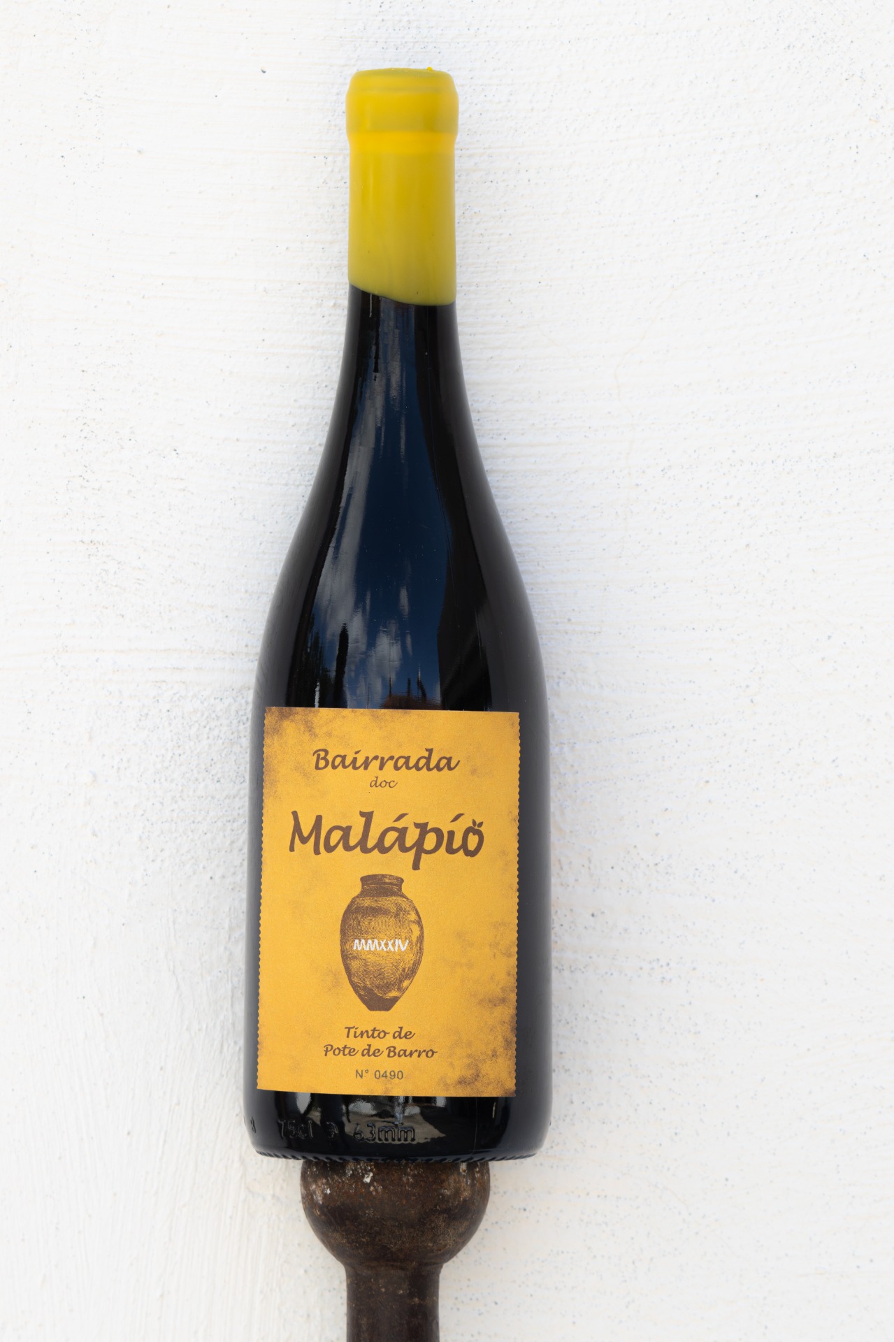 Vinho Tinto Malápio 2024