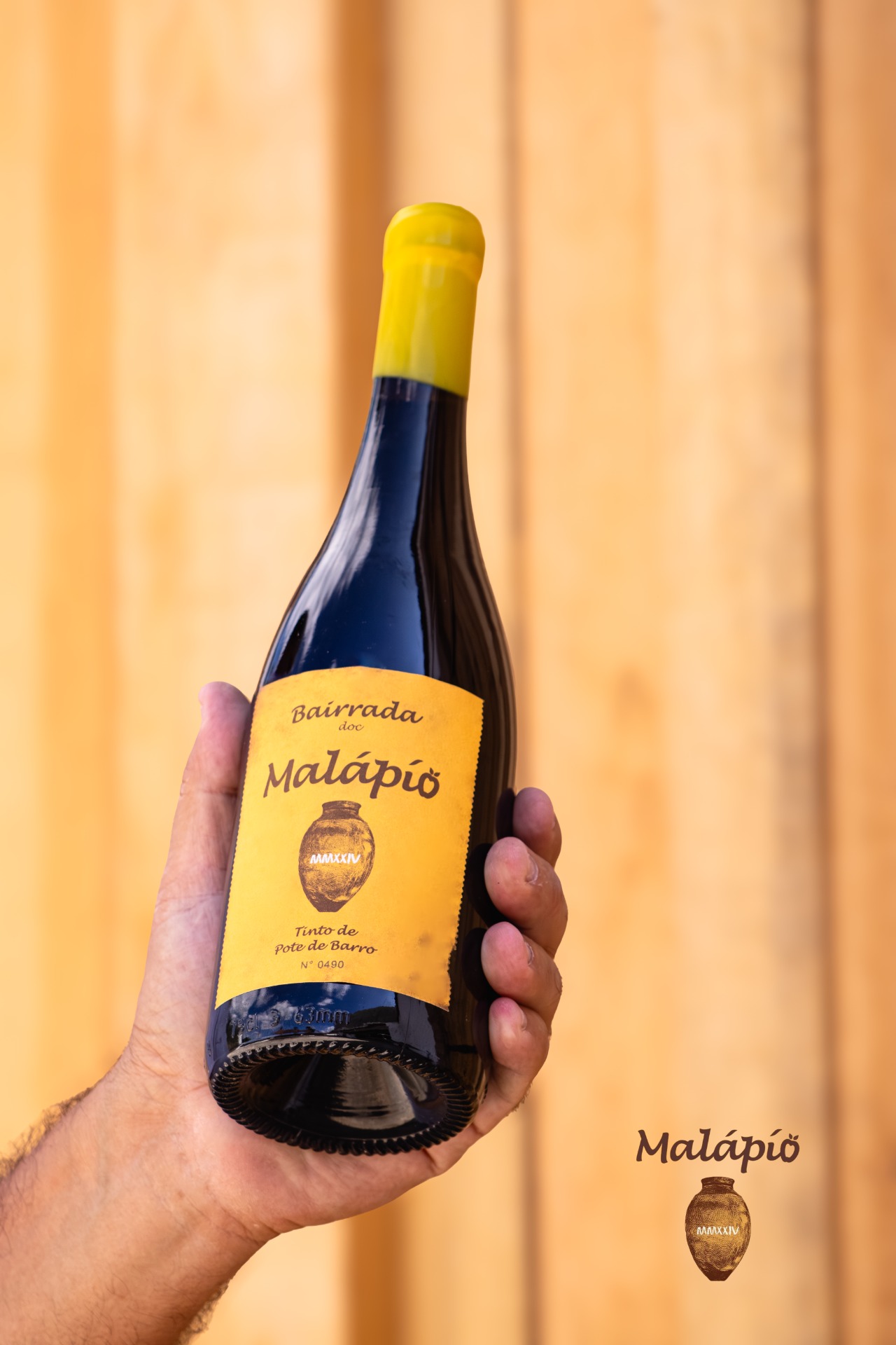 Vinho de Talha Bairrada (Palheto)